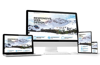 Web Profesional / Tienda OnLine